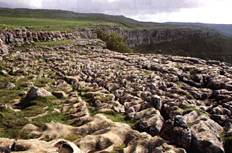 Limestone Pavement, Malham