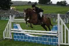 Malham Show Results 2013