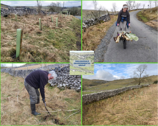 Malhamdale Environment Group (MEG)